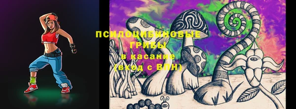 спайс Бородино